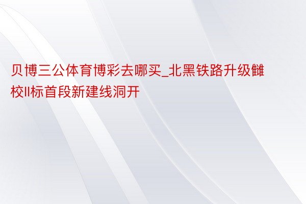 贝博三公体育博彩去哪买_北黑铁路升级雠校II标首段新建线洞开