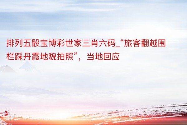 排列五骰宝博彩世家三肖六码_“旅客翻越围栏踩丹霞地貌拍照”，当地回应